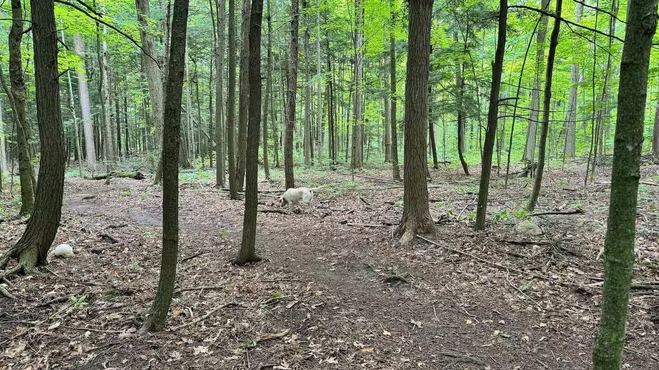 Photo of Others in Scugog