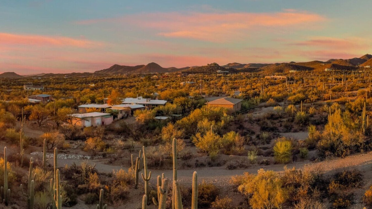 Photo of Others in Tucson