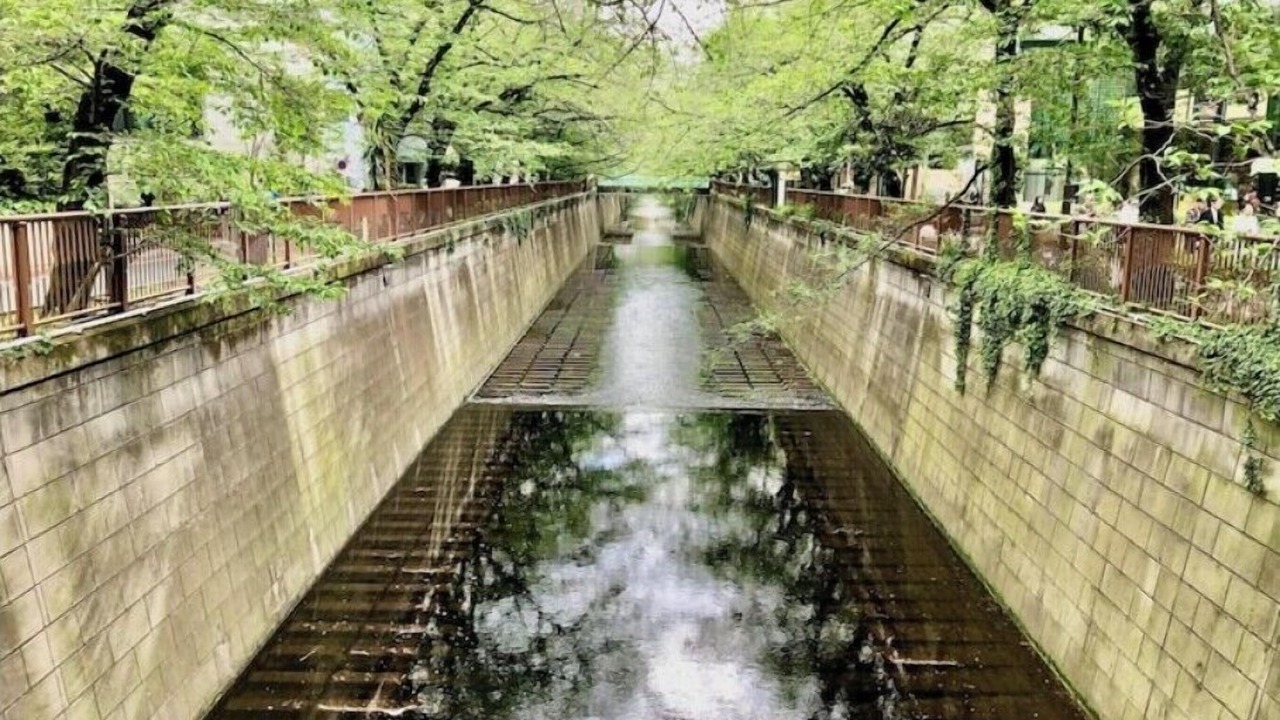 Photo of Others in Hachiyamacho