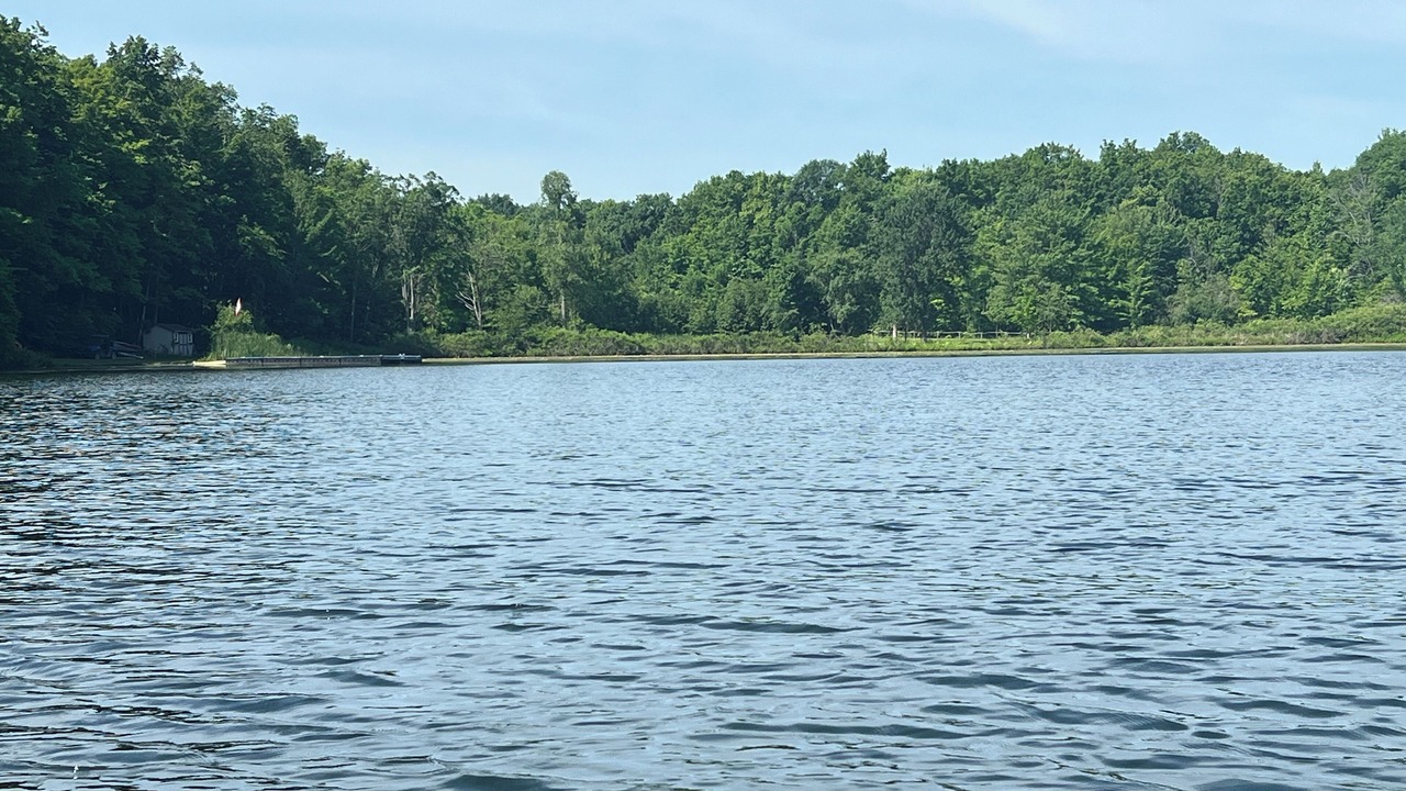 Photo of Others in Frontenac