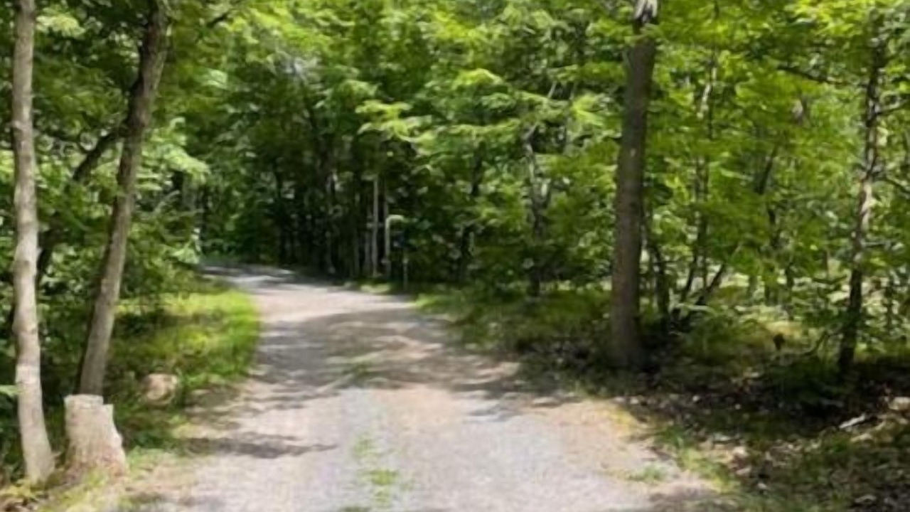 Photo of Others in Frontenac