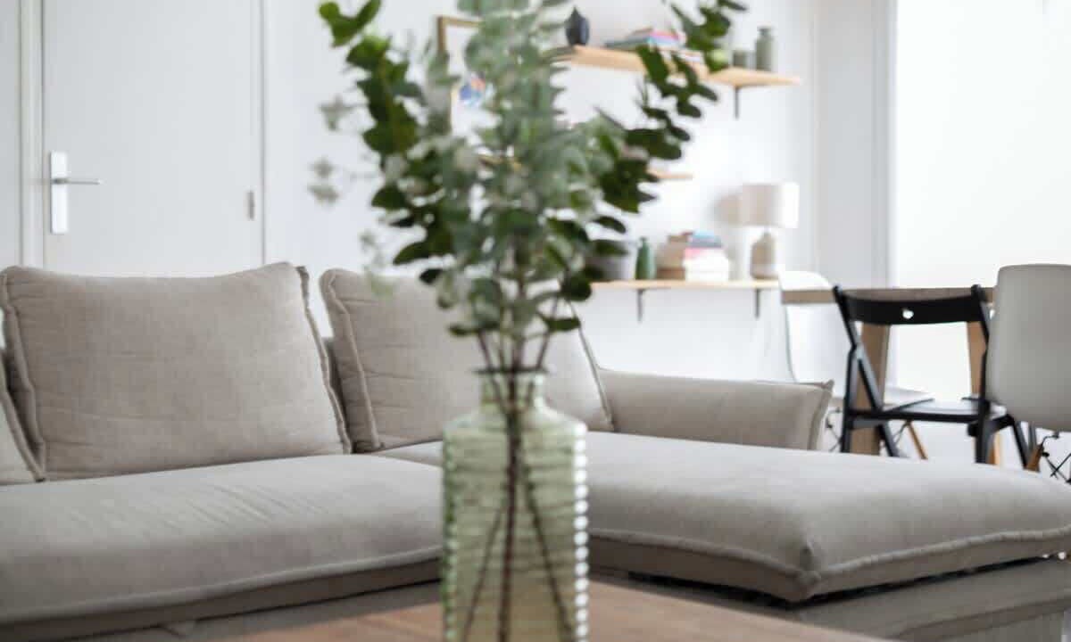 Photo of Livingroom in Sevres