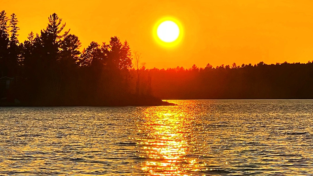 Photo of Others in West Arm