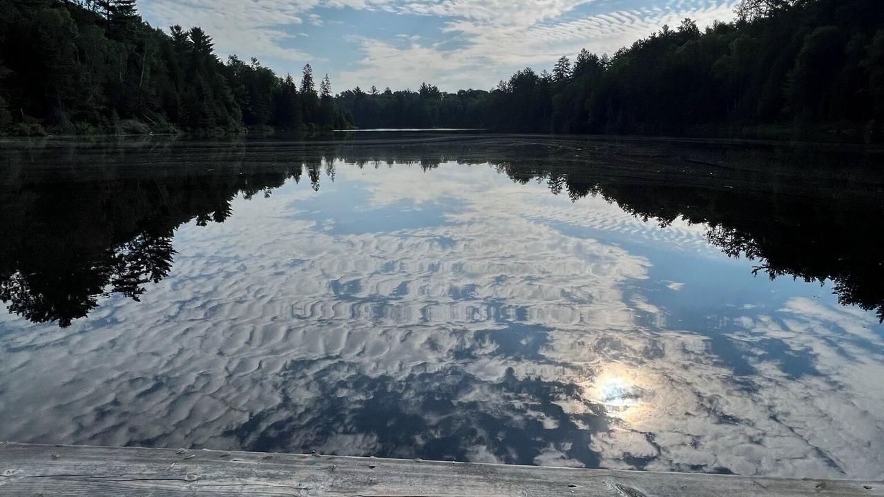 Photo of Others in West Arm