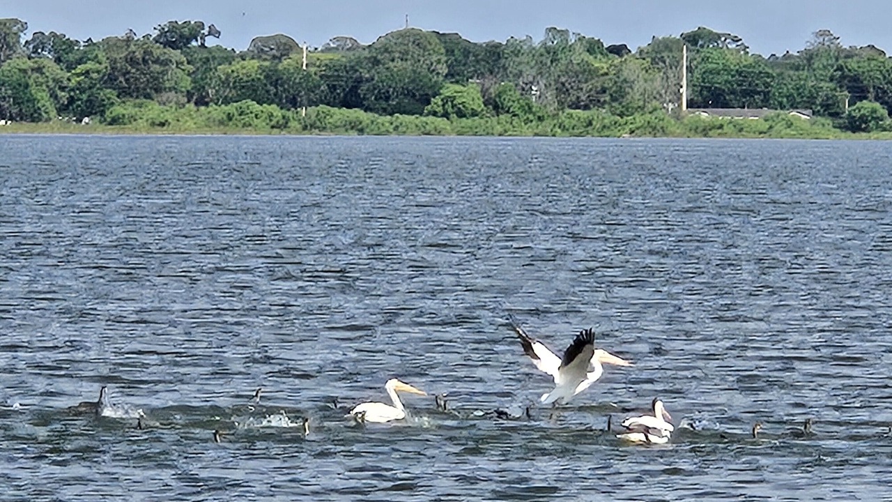 Photo of Others in Lakeland