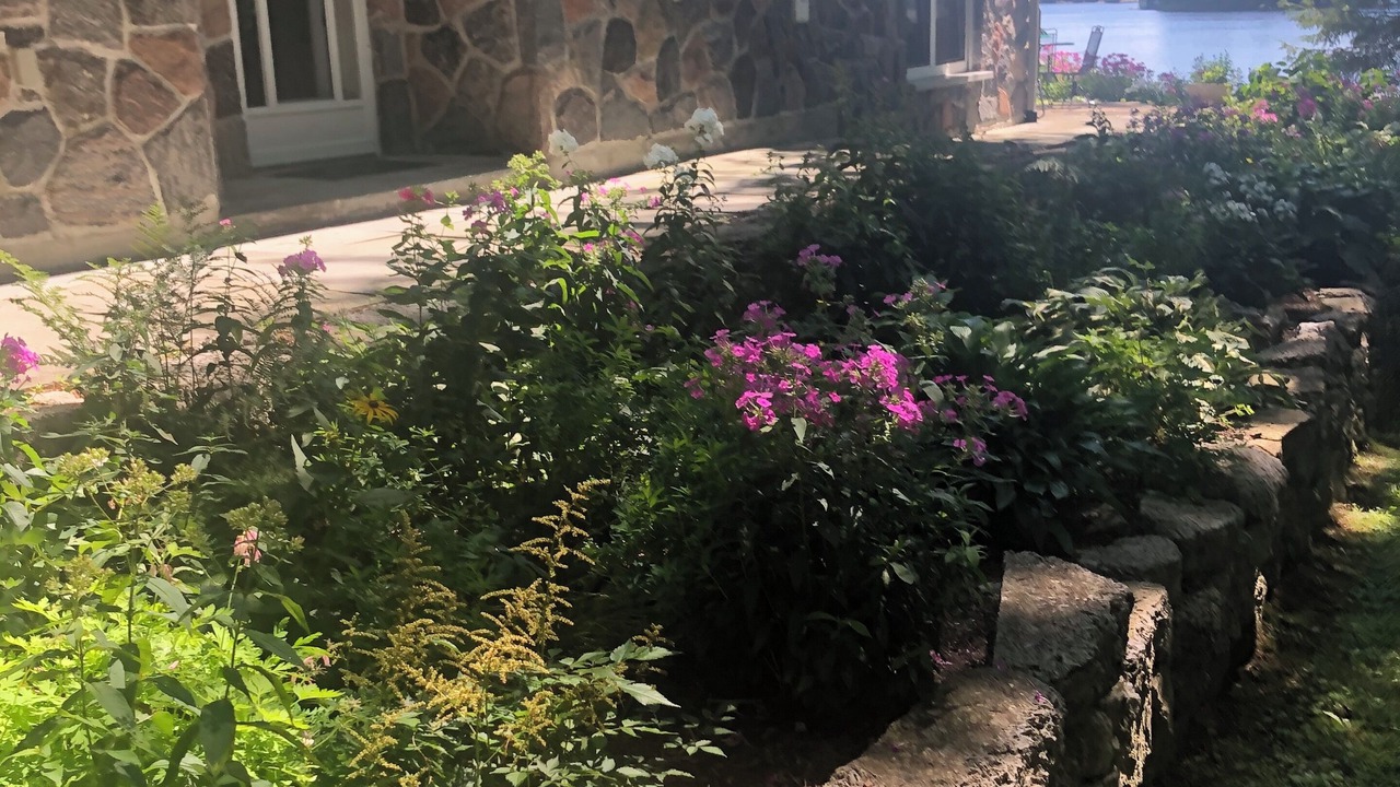 Photo of Outdoor in Muskoka Lakes