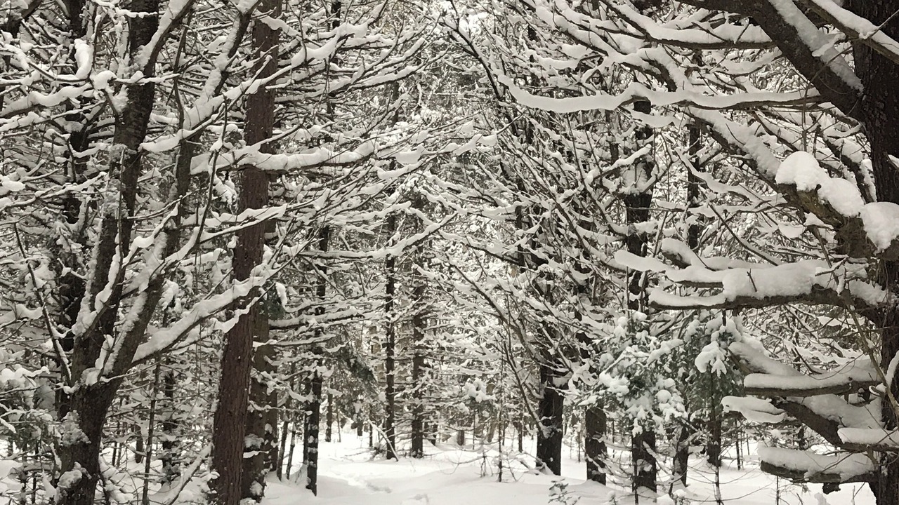 Photo of Others in Dwight