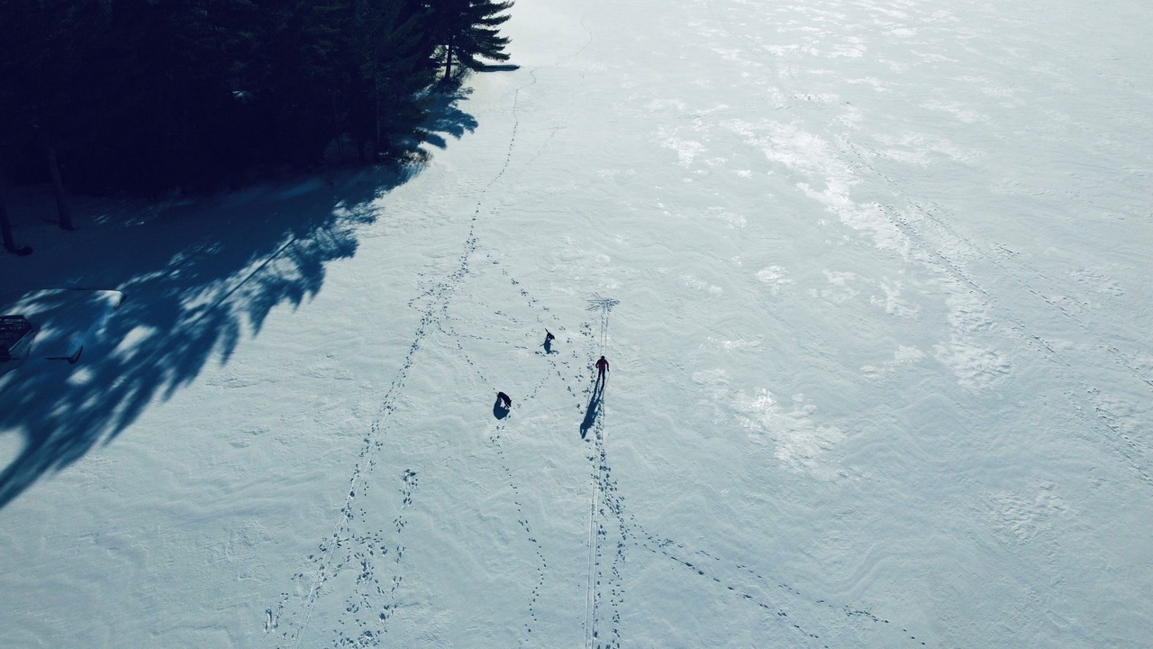 Photo of Others in Dwight