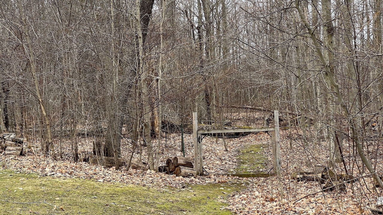 Photo of Others in Milton