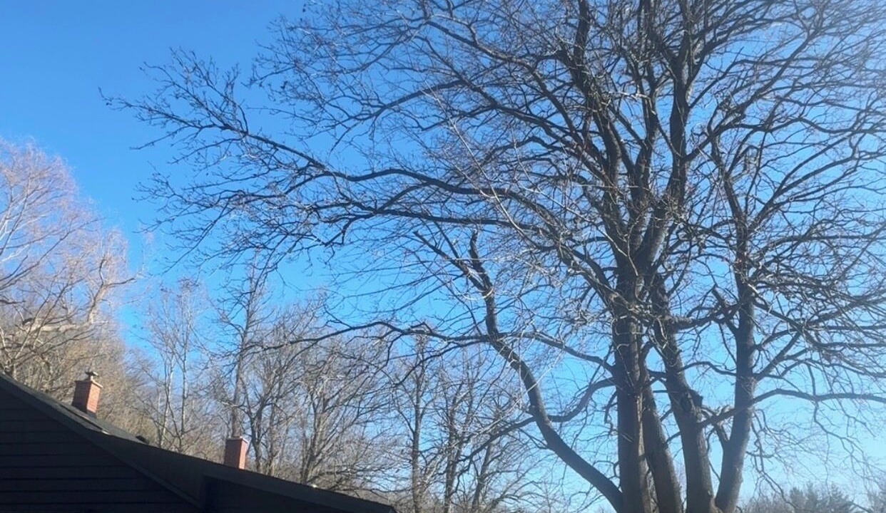 Photo of Outdoor in Georgetown