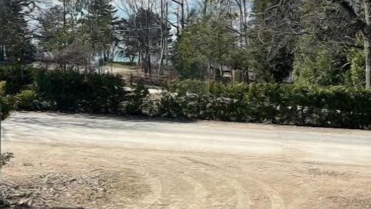 Photo of Others in Wasaga Beach