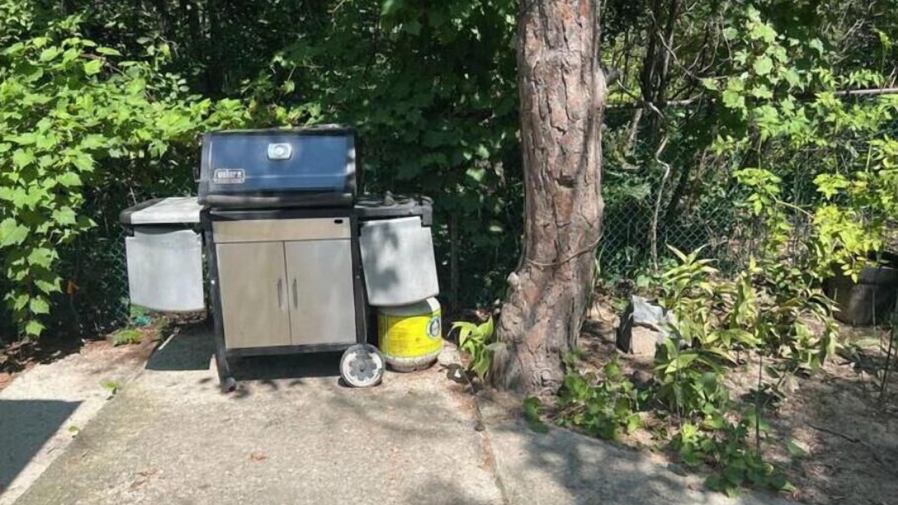 Photo of Outdoor in Wasaga Beach