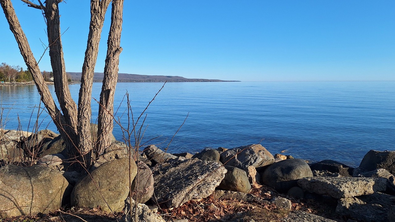 Photo of Others in Meaford