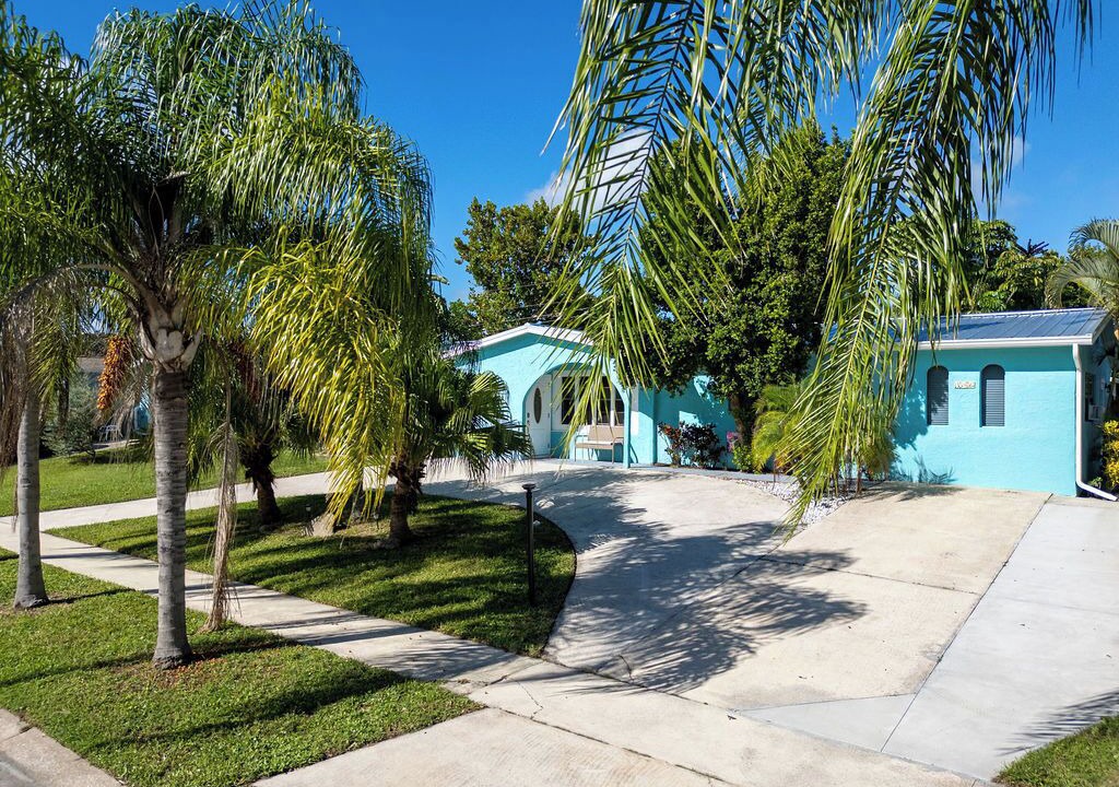 Photo of Outdoor in Tropic