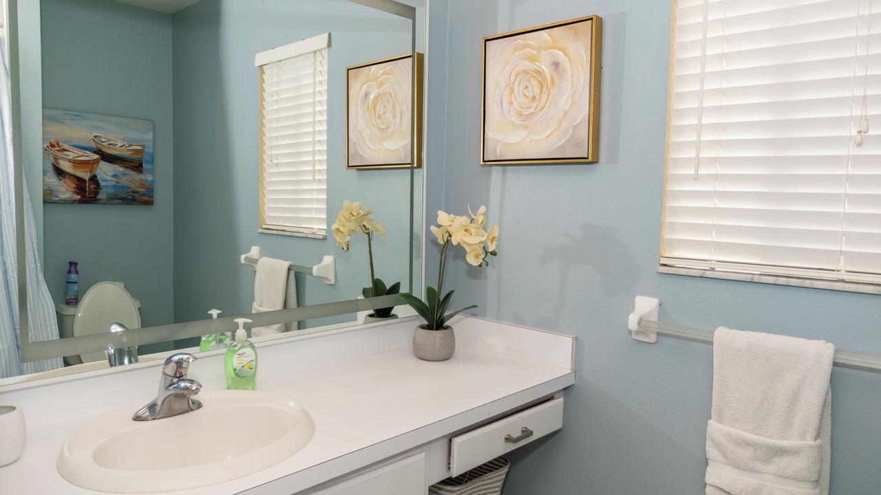 Photo of Bathroom in East County Civic Group