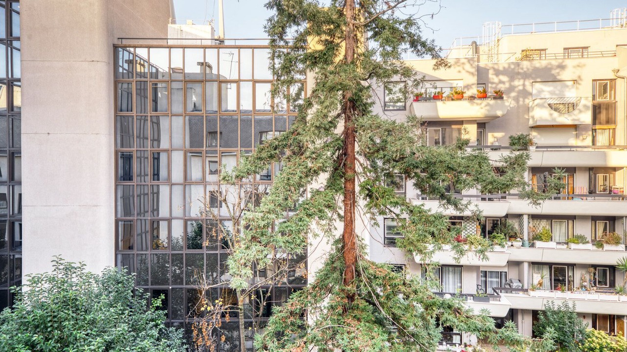 Photo of Outdoor in Jardin des plantes