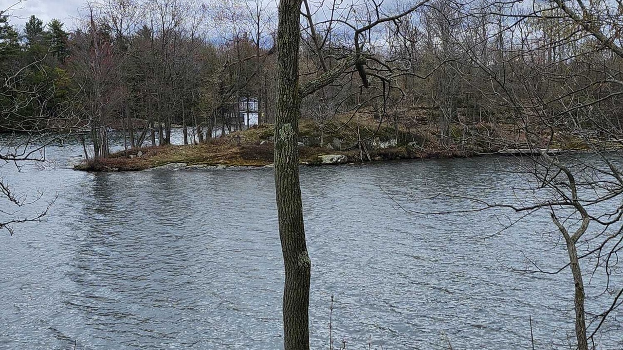 Photo of Others in Frontenac