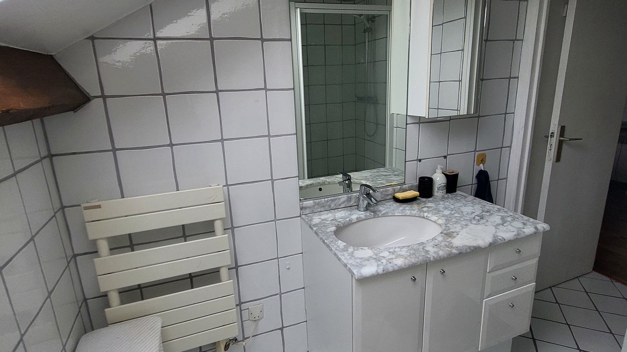 Photo of Bathroom in La Varenne Saint-Hilaire