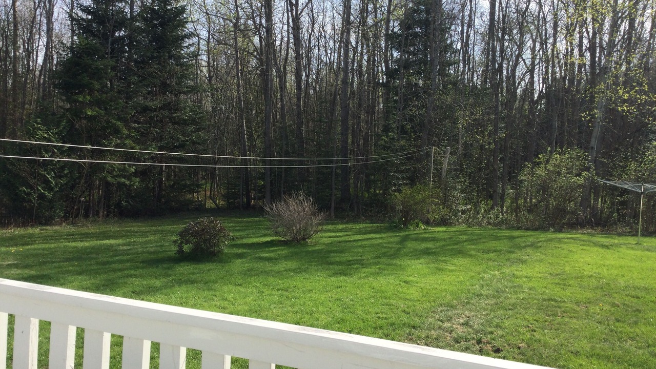 Photo of Outdoor in Lion's Head