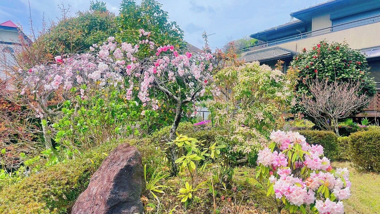 Photo of Outdoor in Futo
