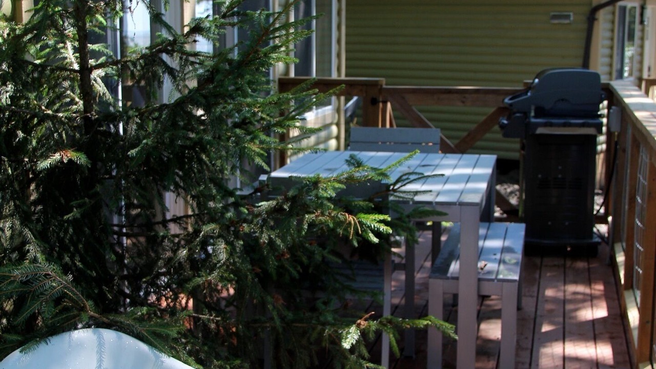 Photo of Outdoor in Lansdowne