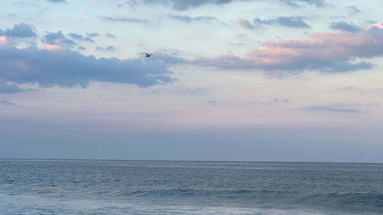 Photo of Others in Seabreeze Shores In Kingston Park