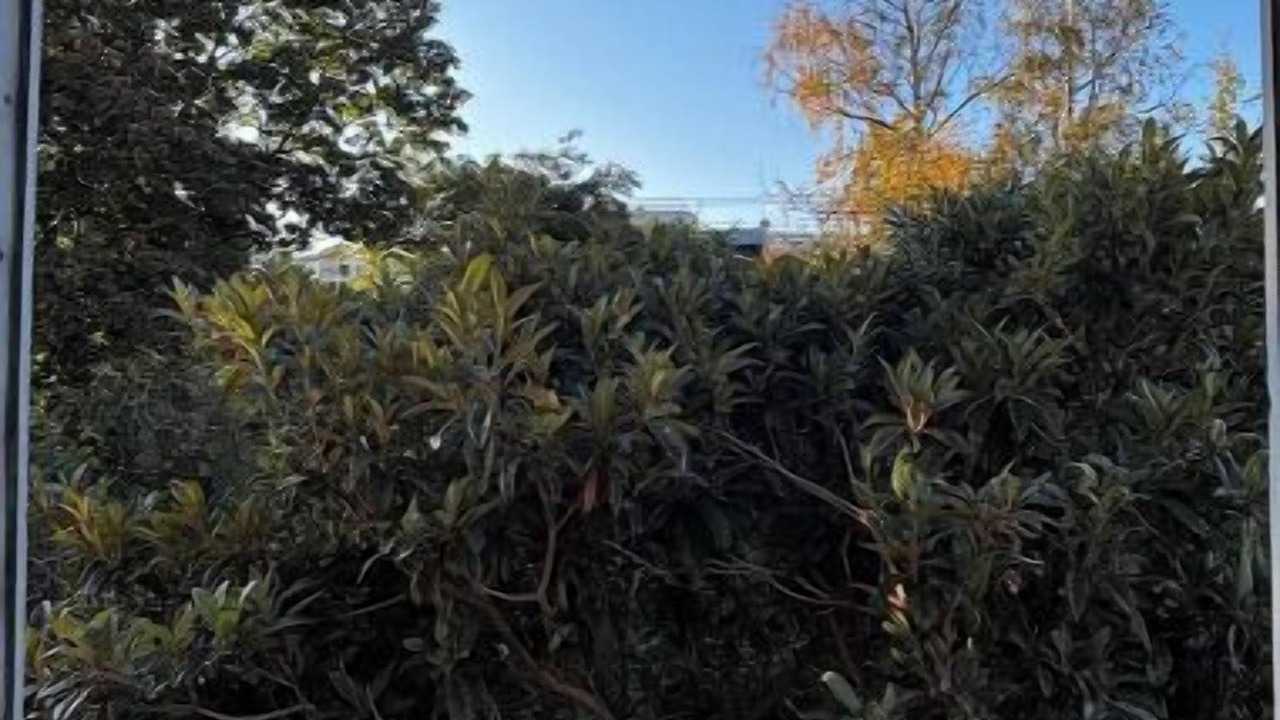 Photo of Outdoor in Suresnes