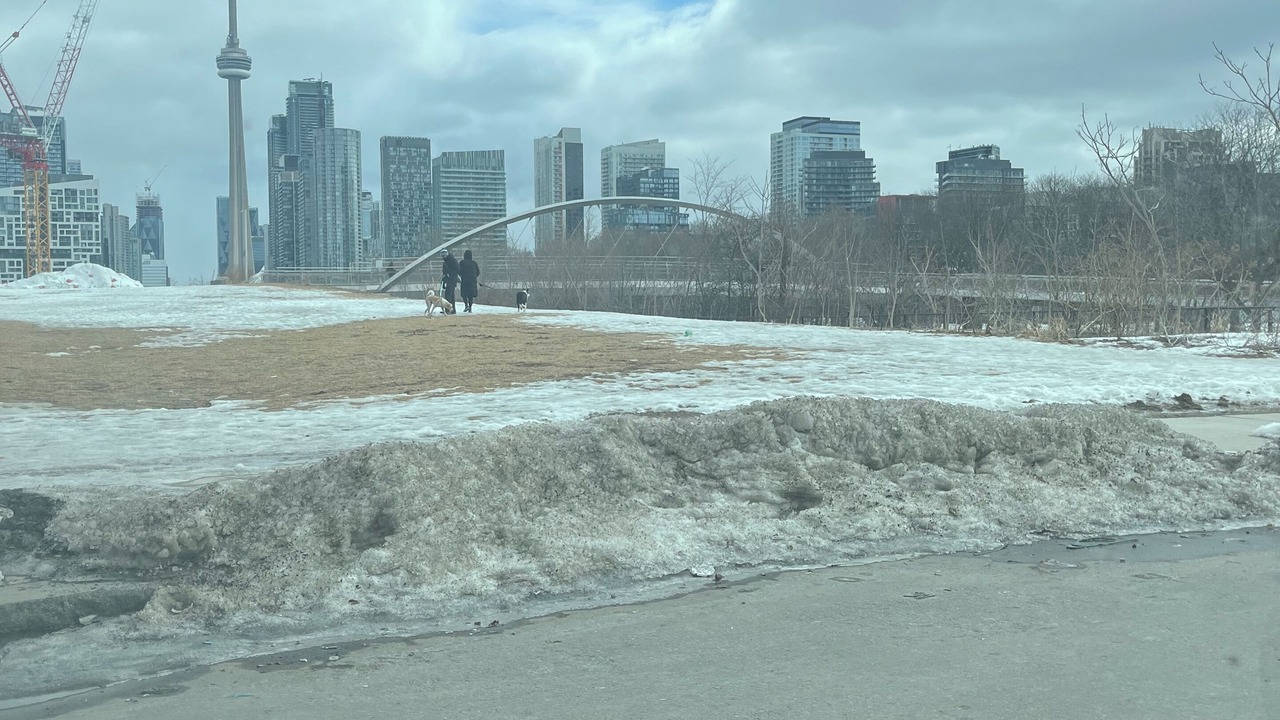 Photo of Others in King West Village