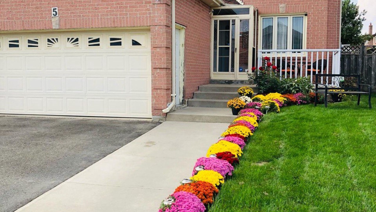 Photo of Outdoor in Brampton
