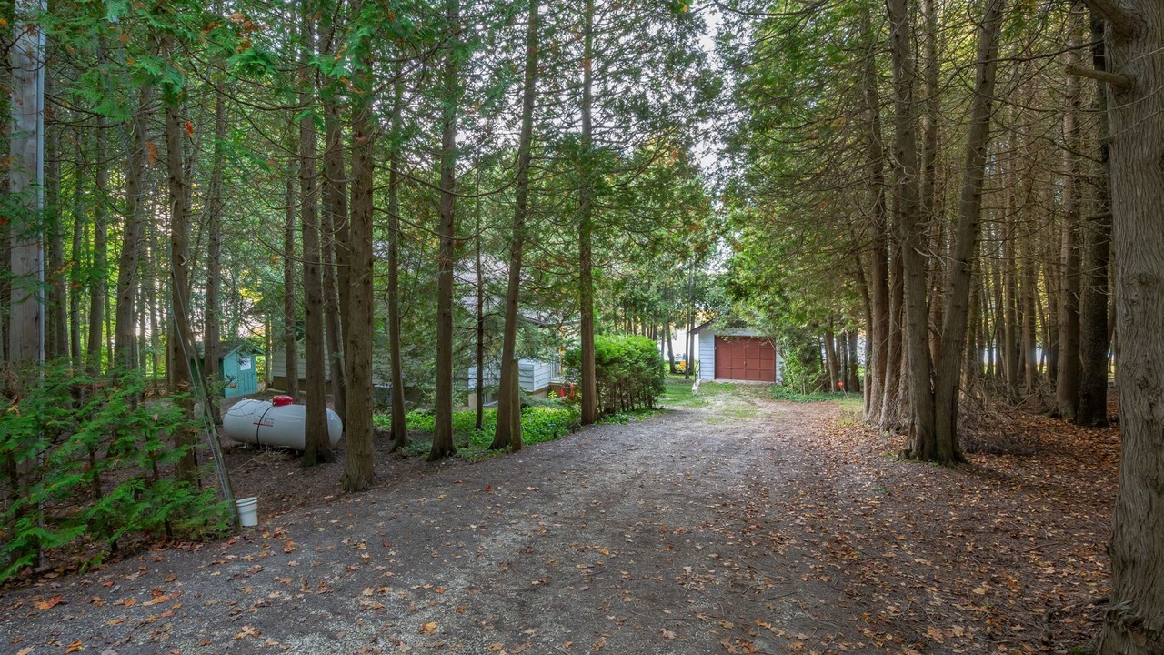 Photo of Outdoor in Grey Highlands