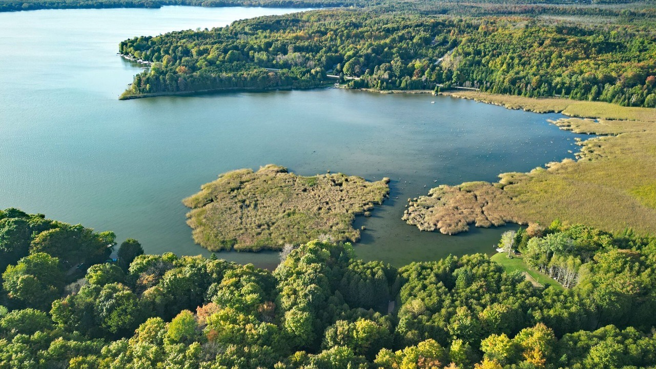 Photo of Outdoor in Grey Highlands
