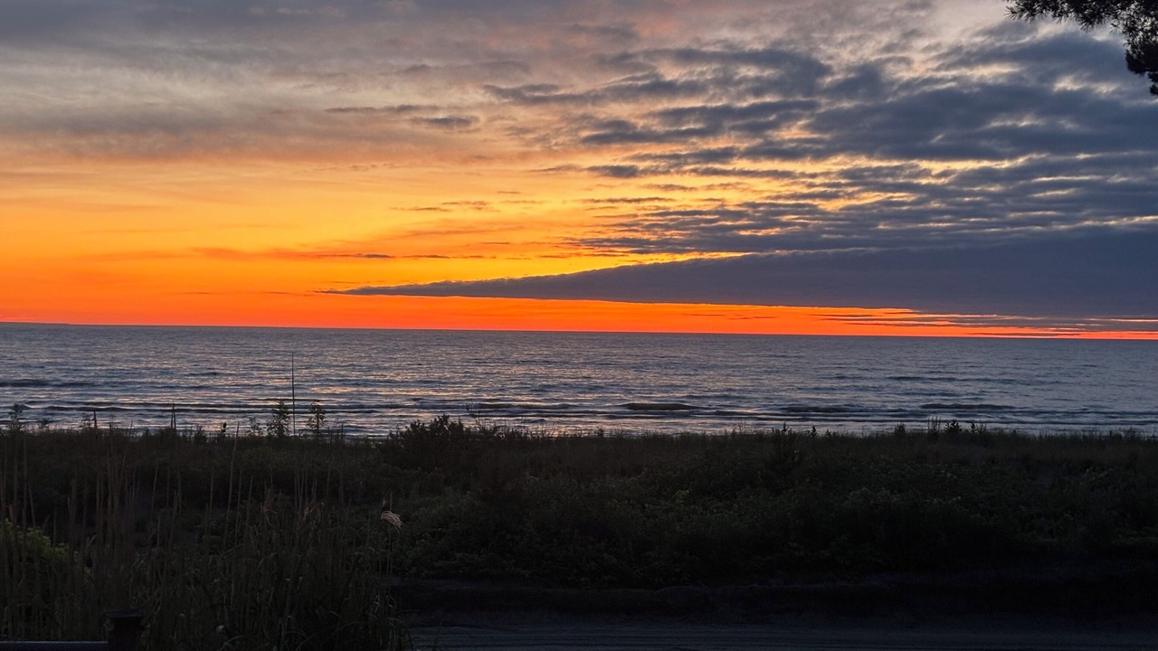 Photo of Others in Wasaga Beach