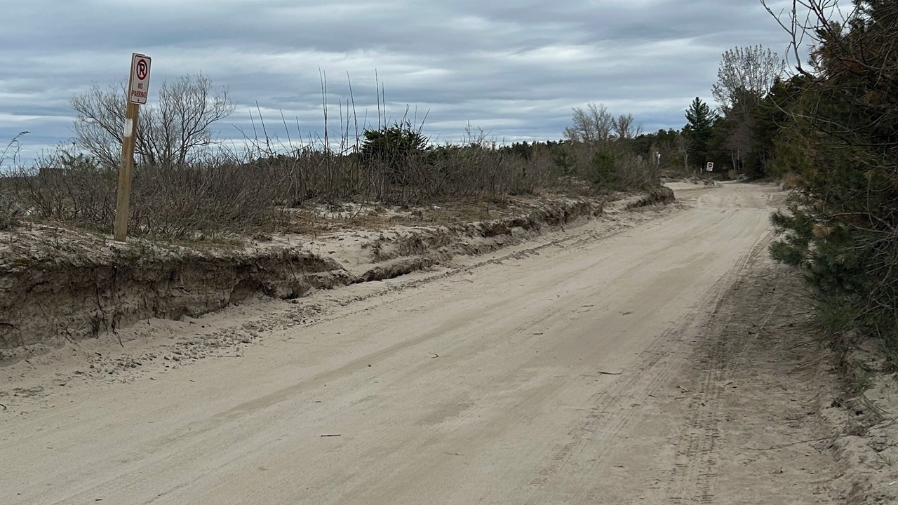 Photo of Others in Wasaga Beach