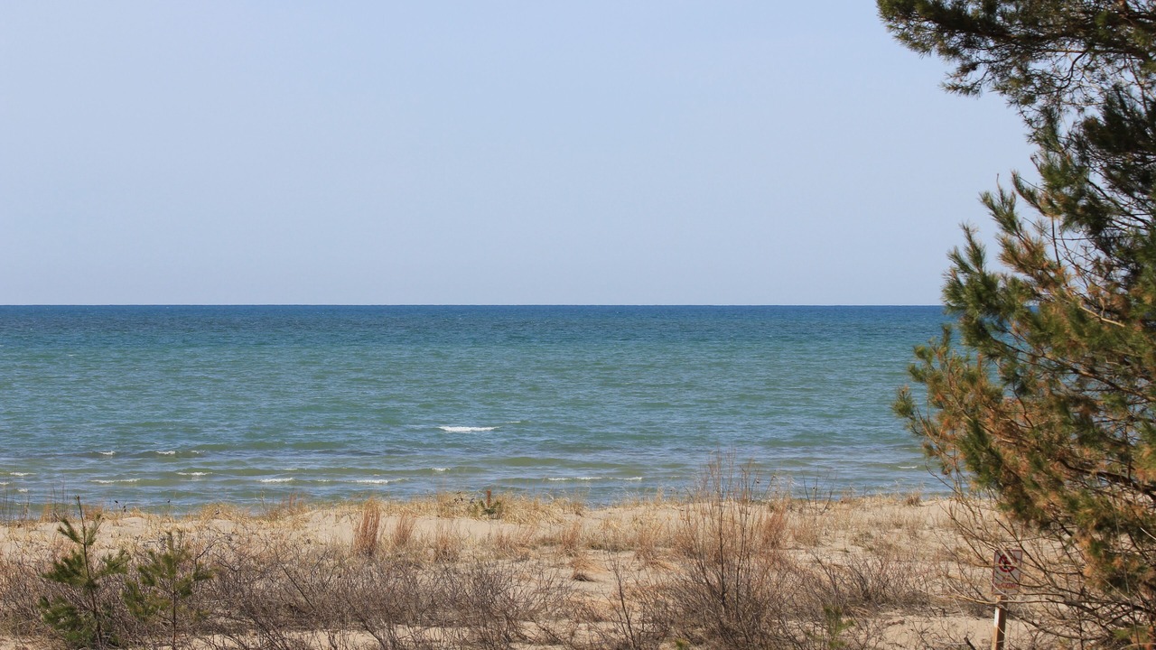 Photo of Others in Wasaga Beach