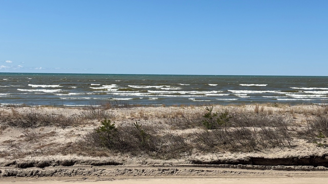 Photo of Others in Wasaga Beach