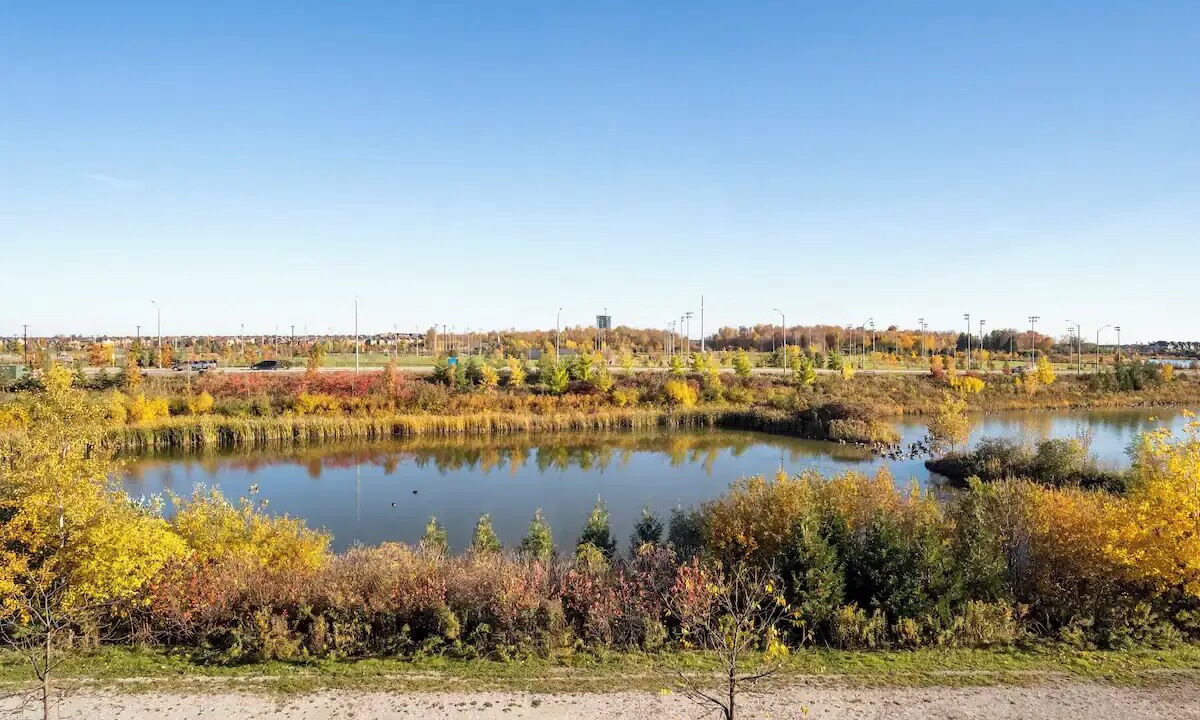 Photo of Others in Brampton