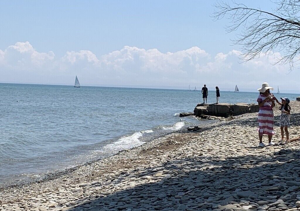 Photo of Others in Oakville
