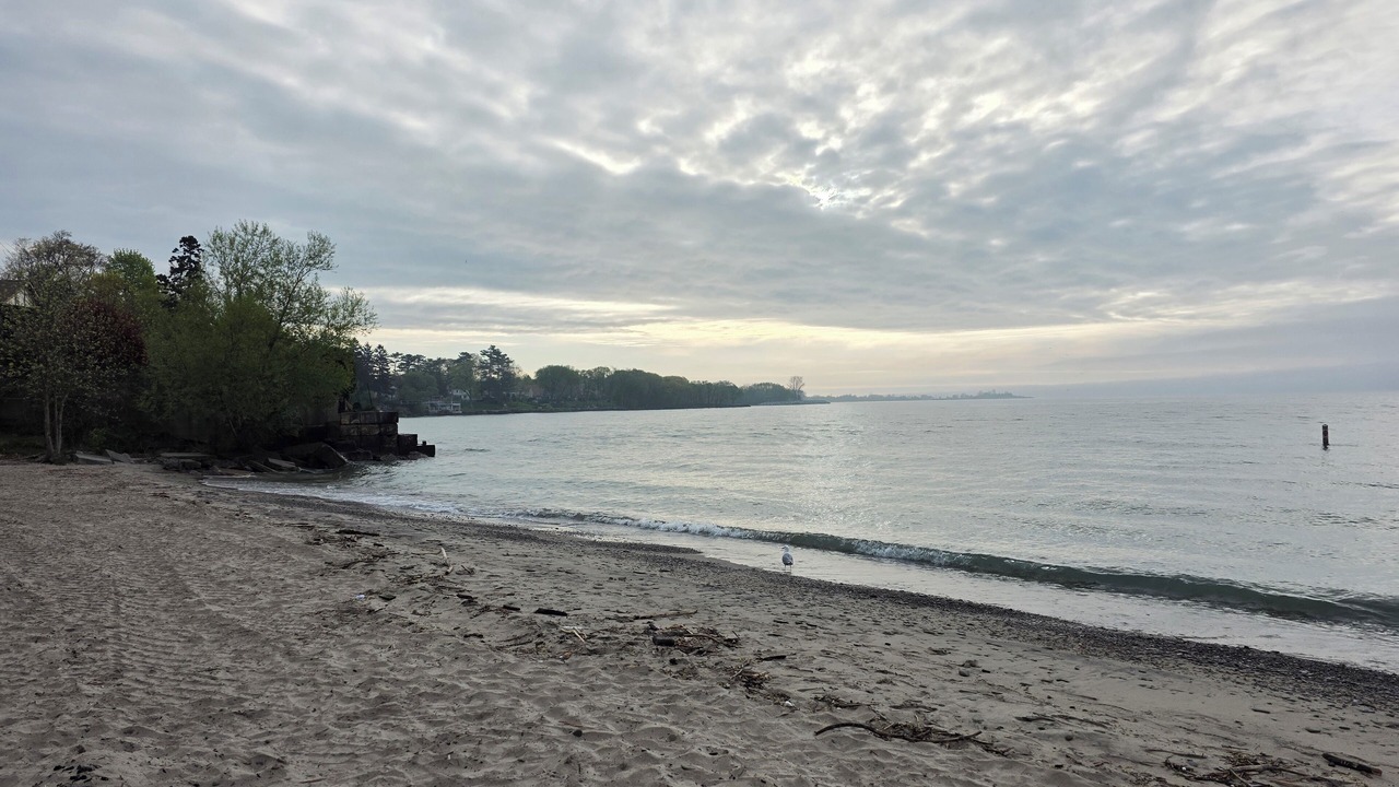 Photo of Others in Long Branch
