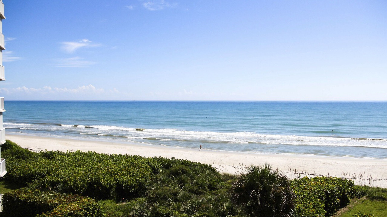 Photo of Others in Indian Harbour Beach