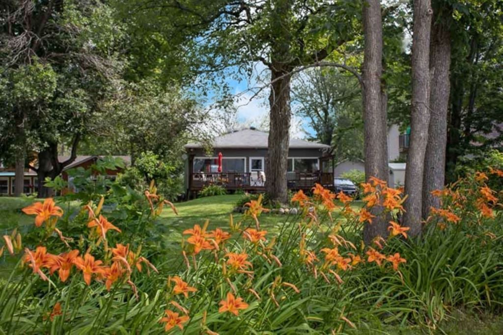 Photo of Outdoor in Tay