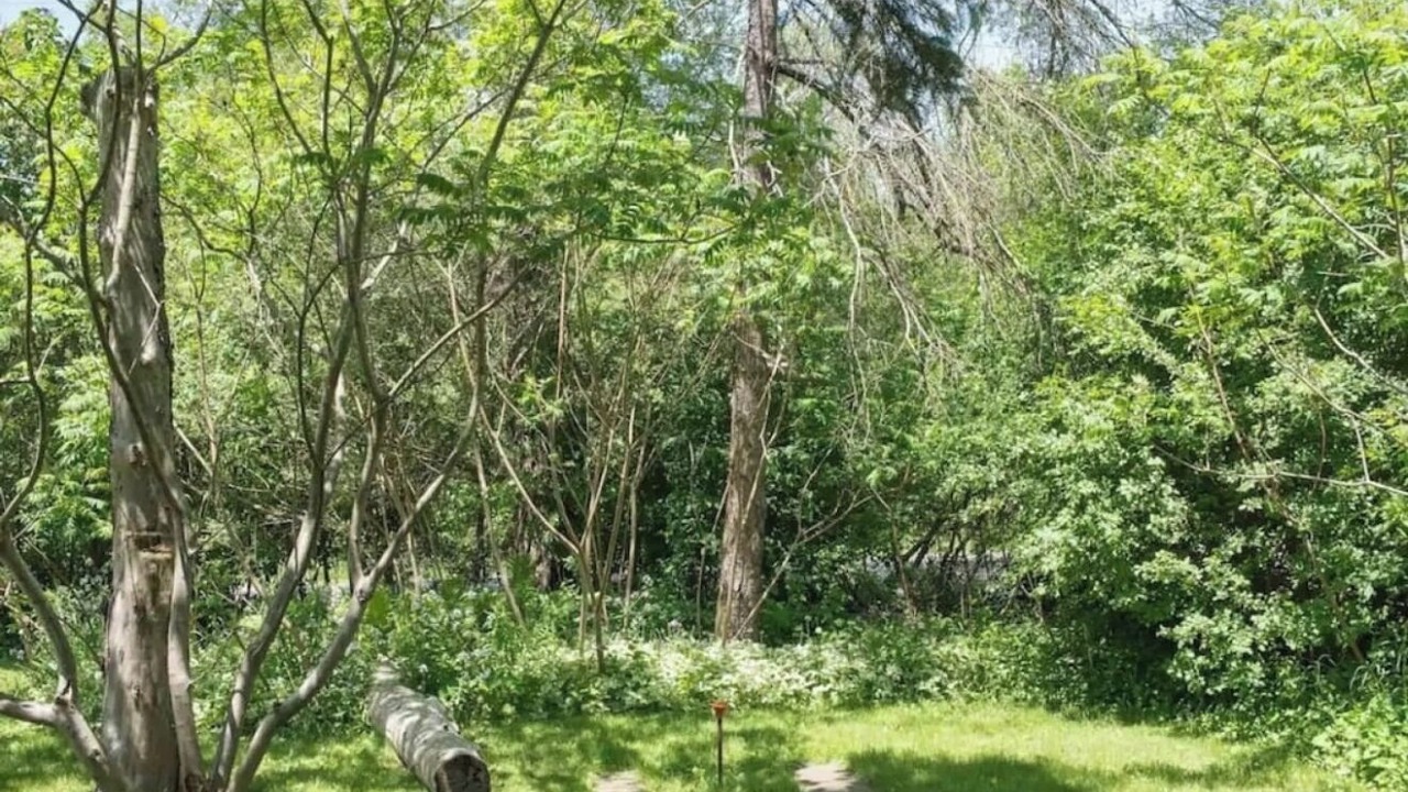 Photo of Outdoor in Waterloo