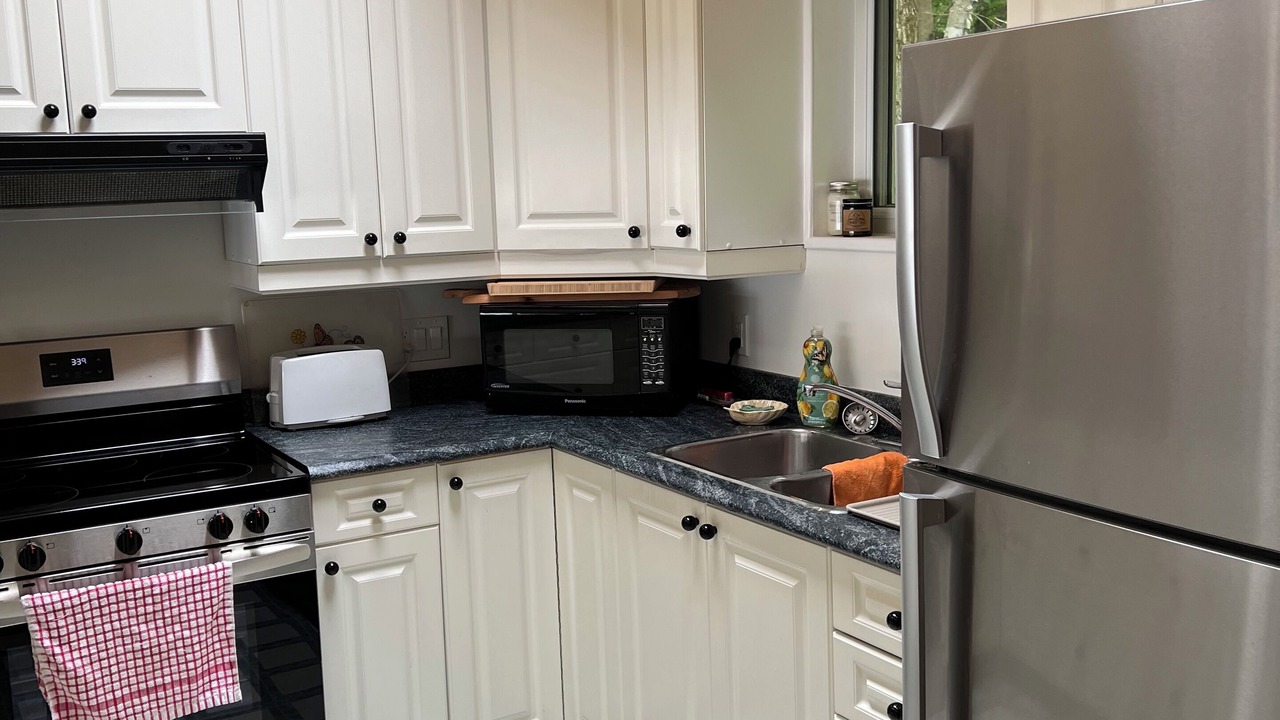 Photo of Kitchen in McDougall