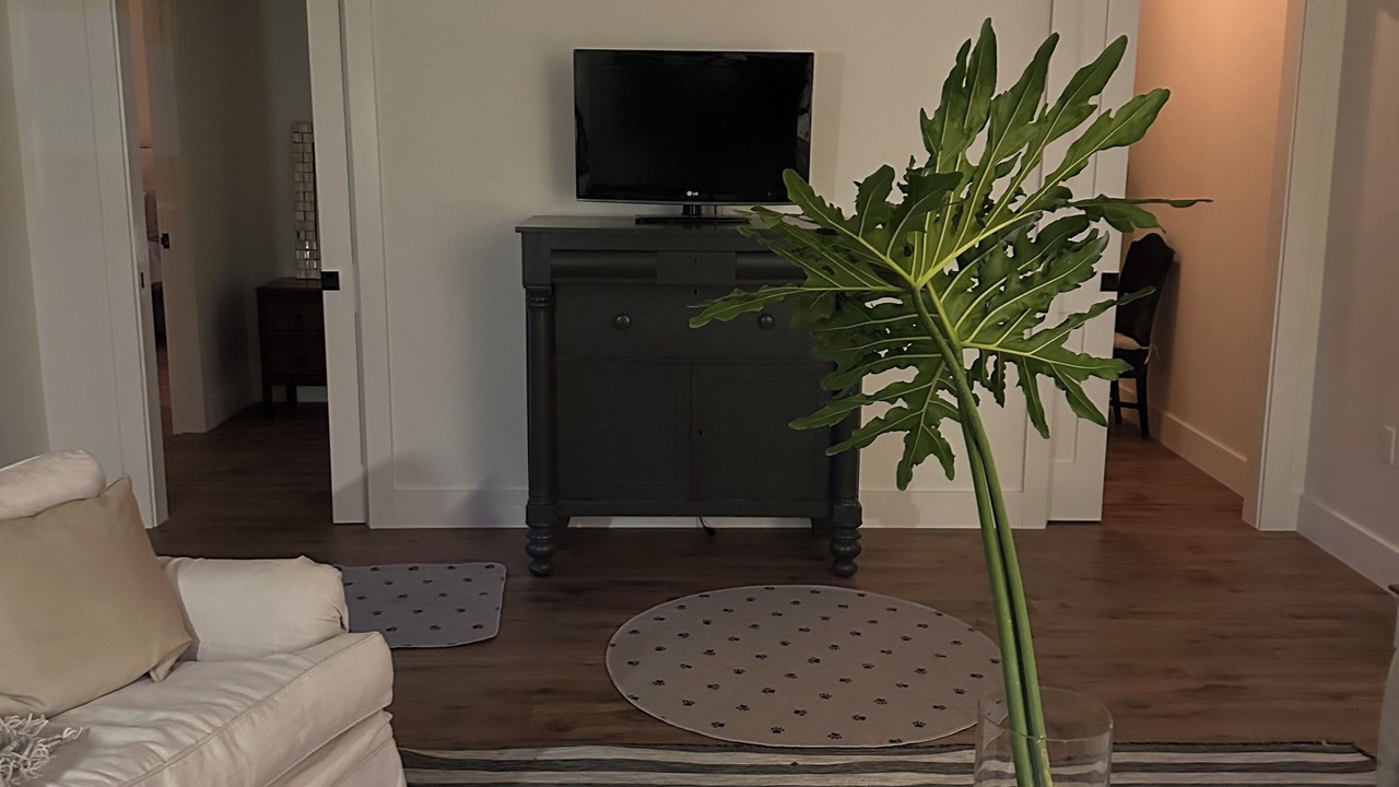 Photo of Livingroom in Mandeville