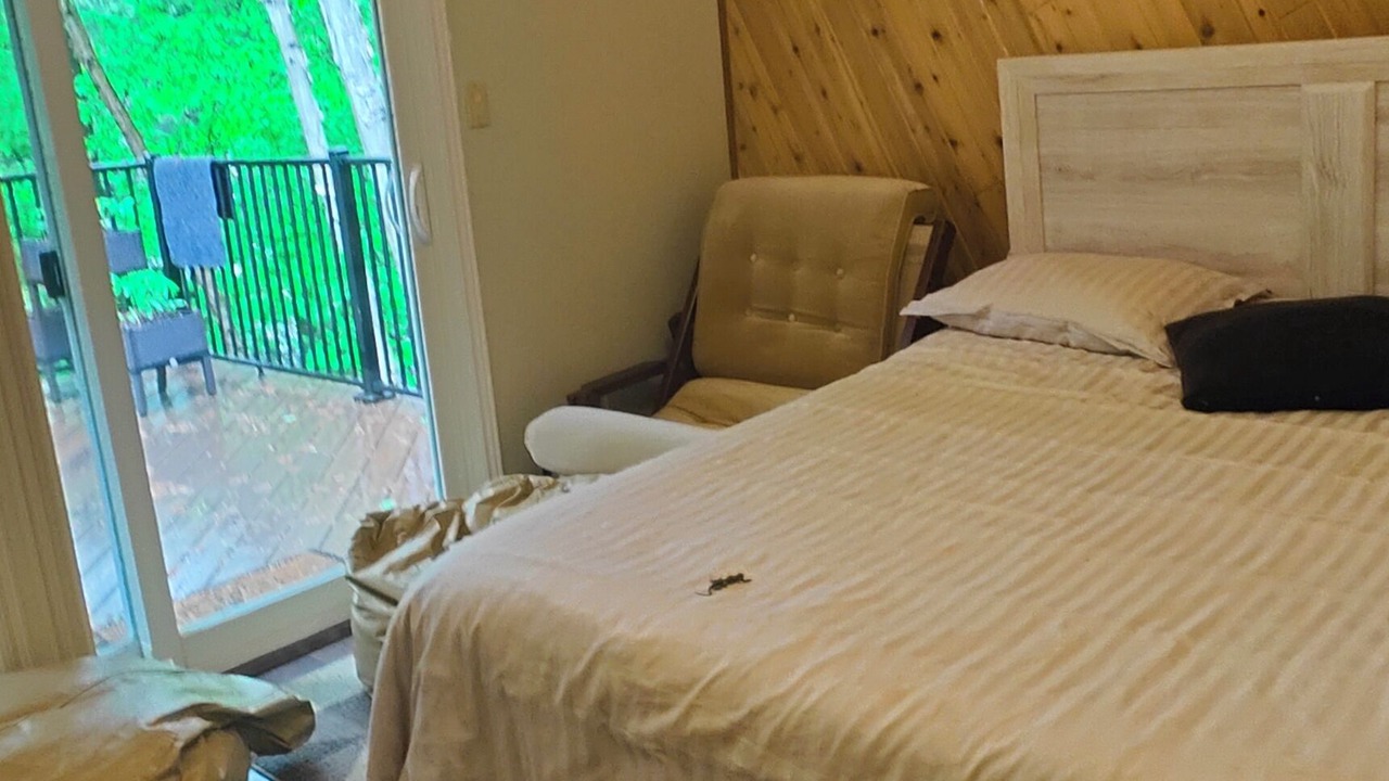 Photo of Bedroom in Rosseau