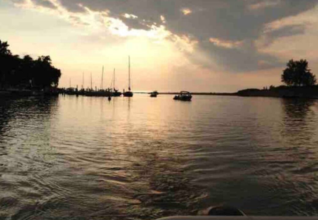Photo of Others in Port Franks