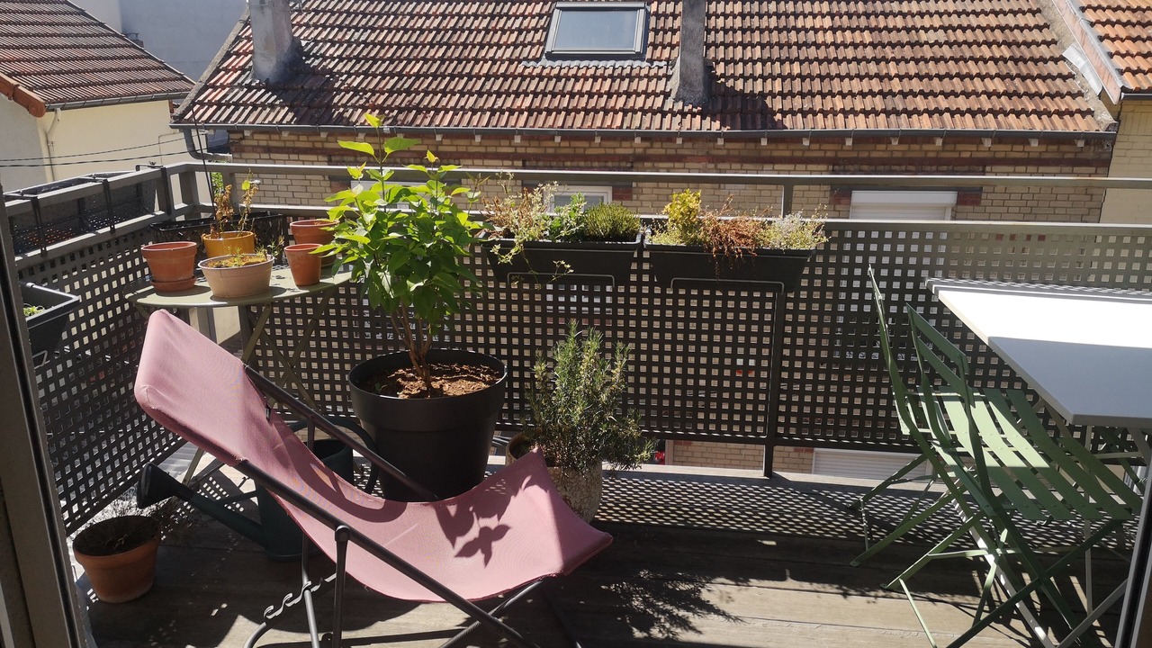 Photo of Outdoor in Malakoff