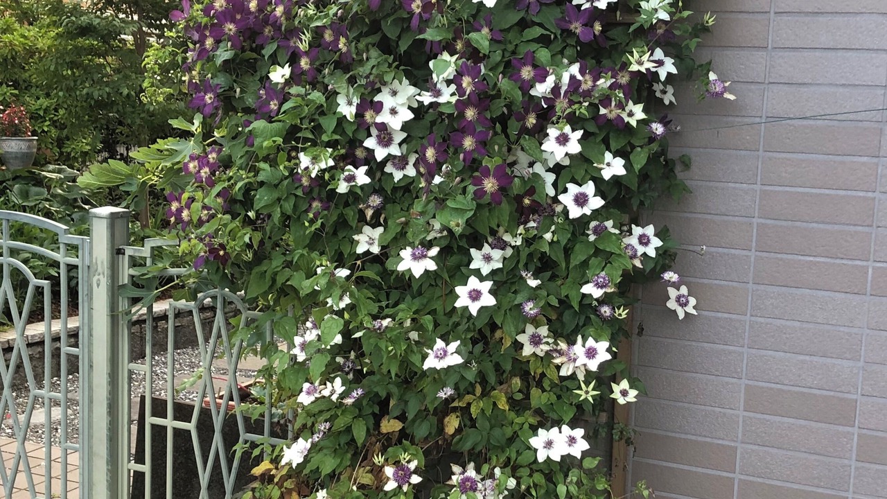 Photo of Outdoor in Horikiri