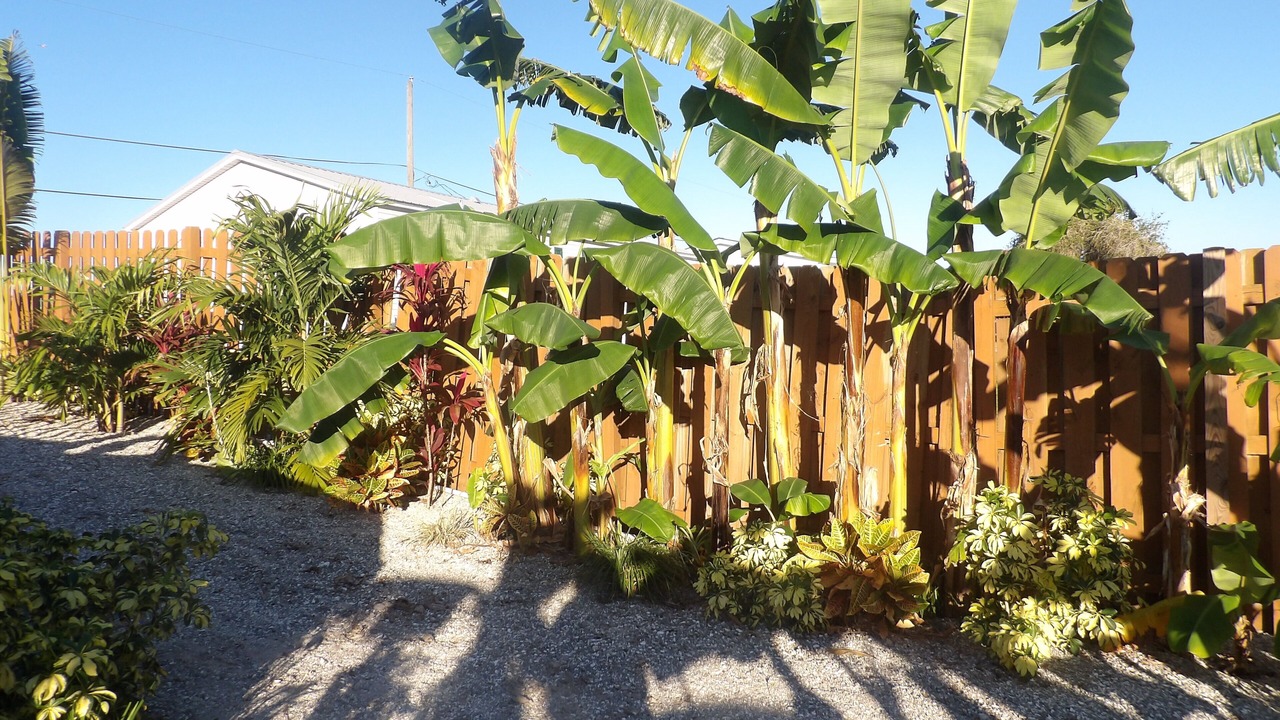 Photo of Outdoor in Taylor Creek