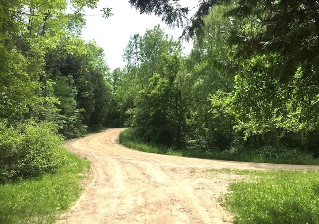 Photo of Others in Ashfield-Colborne-Wawanosh