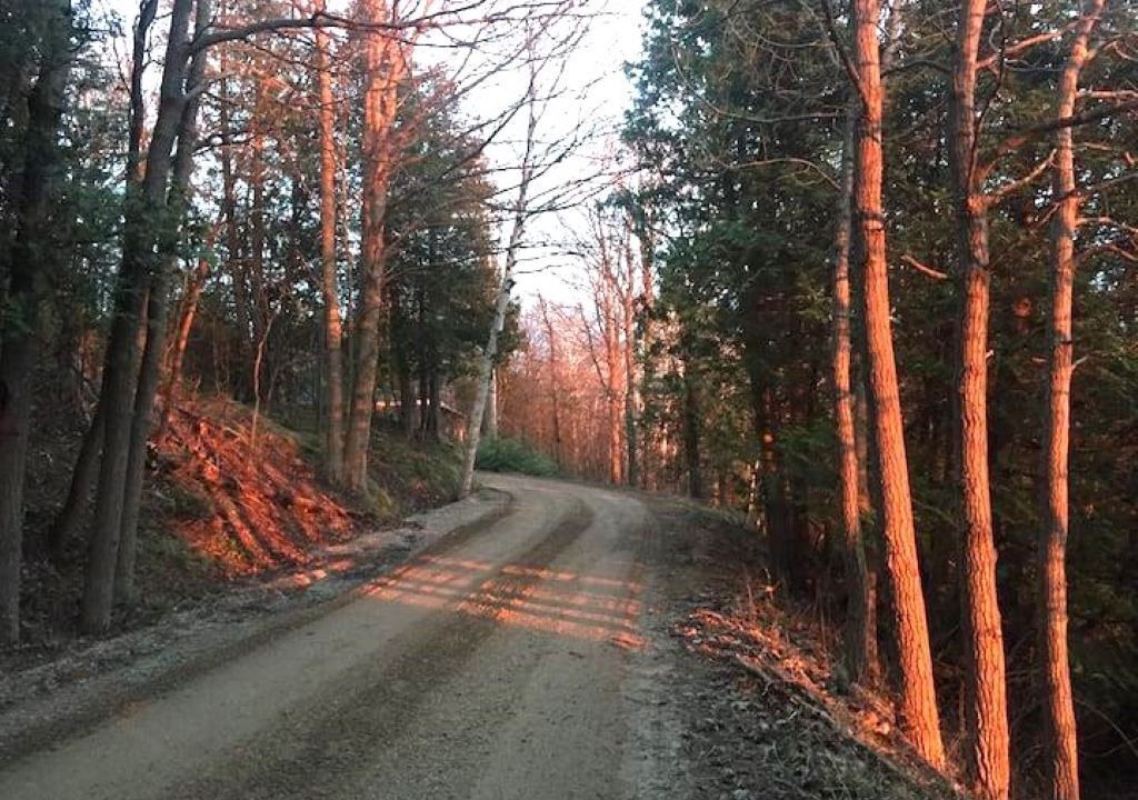 Photo of Others in Ashfield-Colborne-Wawanosh
